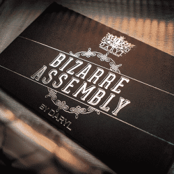 Bizarre Assembly