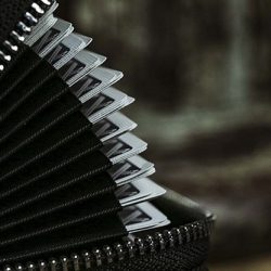 Mesika Elastics