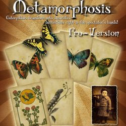 Metamorphosis Refill