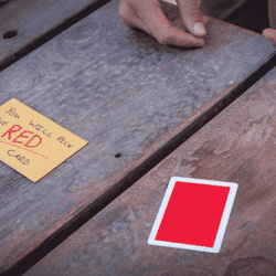 The Red Prediction
