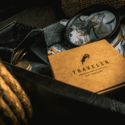 The Traveler