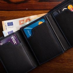 The Viper Wallet