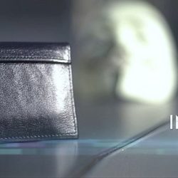 Alternative view of The Viper Wallet