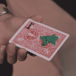 Memo Card Red
