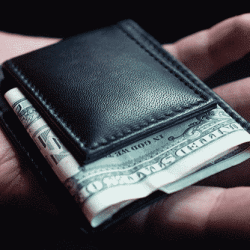 No Choice Wallet