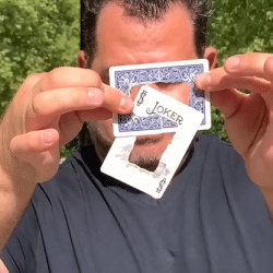 LinkCard RED - Mickaël Chatelain