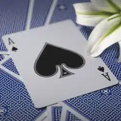 Elysian Duets Marked Deck (Red) - Phill Smith