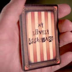 The Tiny Grand Illusion / The Assistant - Image 4