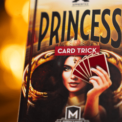 PRINCESS CARD