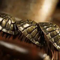 The “Shell” Game