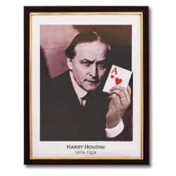 Houdini Prediction Frame