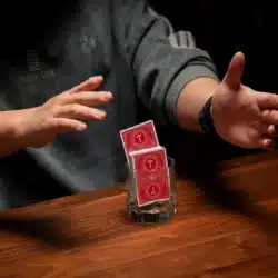 Mini e-ITR