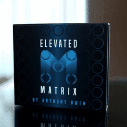 Alternative view of Elevated Matrix