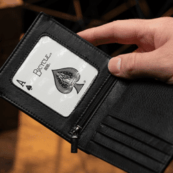 Alternative view of WGM CARD TO WALLET SET