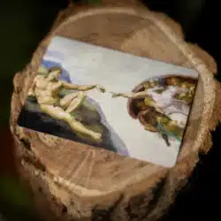 Alternative view of Eden
