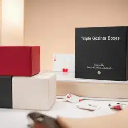 Triple Gozinta Boxes