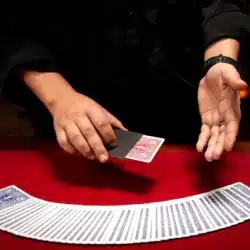Pocket Miracle - Image 9