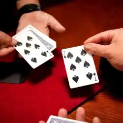 Alternative view of Pocket Miracle