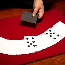 Pocket Miracle - Image 3