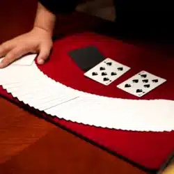 Pocket Miracle - Image 4