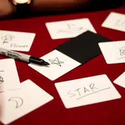 Pocket Miracle - Image 6