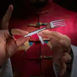 T-FORK - Image 3