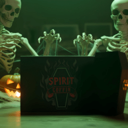 Alternative view of Spirit Coffin