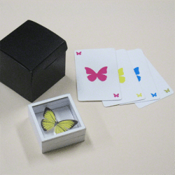 Alternative view of Magic Butterfly T-262
